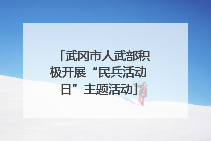 武冈市人武部积极开展“民兵活动日”主题活动