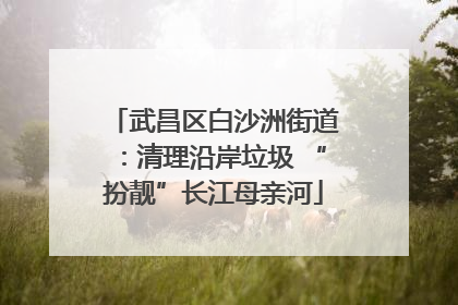 武昌区白沙洲街道：清理沿岸垃圾 “扮靓”长江母亲河
