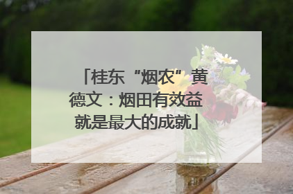 桂东“烟农”黄德文：烟田有效益就是最大的成就