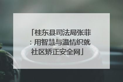 桂东县司法局张菲：用智慧与温情织就社区矫正安全网