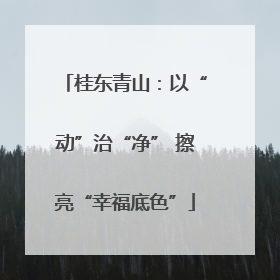 桂东青山：以“动”治“净” 擦亮“幸福底色”