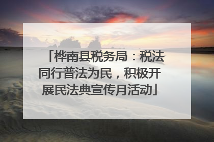 桦南县税务局：税法同行普法为民，积极开展民法典宣传月活动