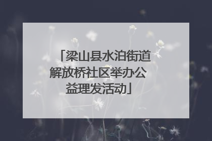 梁山县水泊街道解放桥社区举办公益理发活动
