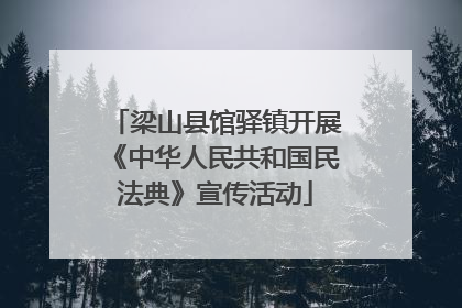梁山县馆驿镇开展《中华人民共和国民法典》宣传活动