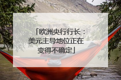 欧洲央行行长：美元主导地位正在变得不确定