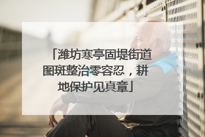 潍坊寒亭固堤街道图斑整治零容忍，耕地保护见真章