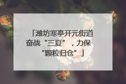 潍坊寒亭开元街道奋战“三夏”，力保“颗粒归仓”