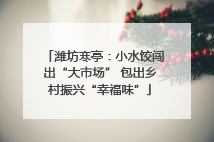 潍坊寒亭：小水饺闯出“大市场” 包出乡村振兴“幸福味”