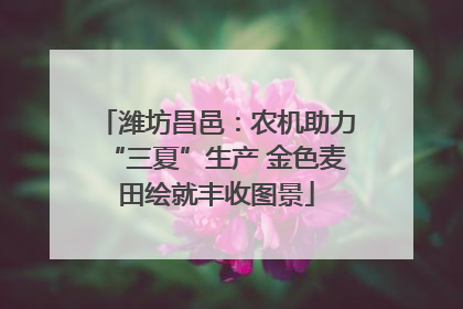 潍坊昌邑：农机助力“三夏”生产 金色麦田绘就丰收图景