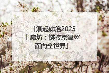 潮起廊洽2025丨廊坊：链接京津冀 面向全世界