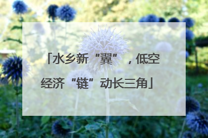 水乡新“翼”，低空经济“链”动长三角