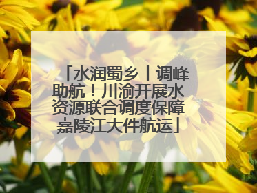 水润蜀乡丨调峰助航！川渝开展水资源联合调度保障嘉陵江大件航运