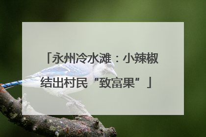 永州冷水滩：小辣椒结出村民“致富果”