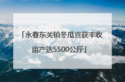 永春东关镇冬瓜喜获丰收 亩产达5500公斤
