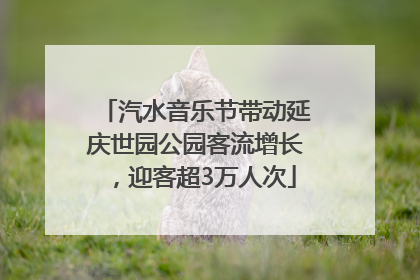 汽水音乐节带动延庆世园公园客流增长，迎客超3万人次