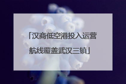 汉商低空港投入运营 航线覆盖武汉三镇