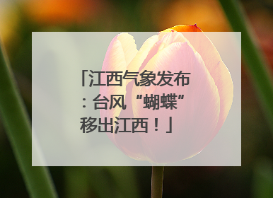 江西气象发布：台风“蝴蝶”移出江西！