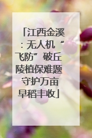 江西金溪：无人机“飞防”破丘陵植保难题 守护万亩早稻丰收