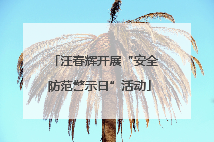 汪春辉开展“安全防范警示日”活动