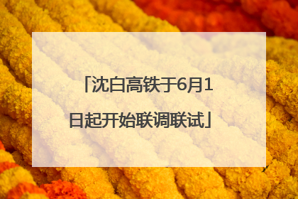 沈白高铁于6月1日起开始联调联试