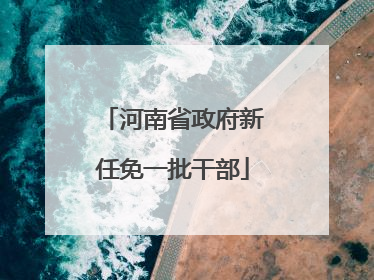 河南省政府新任免一批干部