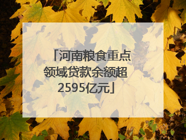 河南粮食重点领域贷款余额超2595亿元