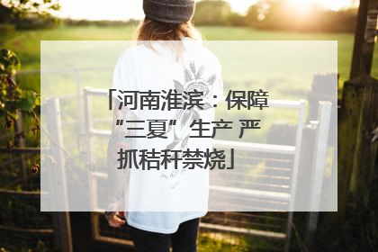 河南淮滨：保障“三夏”生产 严抓秸秆禁烧