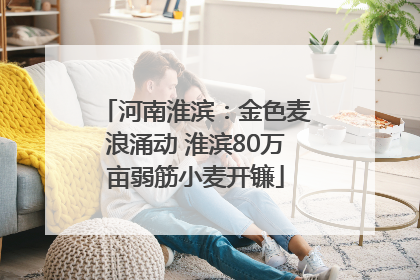 河南淮滨：金色麦浪涌动 淮滨80万亩弱筋小麦开镰