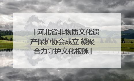 河北省非物质文化遗产保护协会成立 凝聚合力守护文化根脉