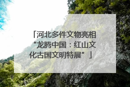 河北多件文物亮相“龙腾中国：红山文化古国文明特展”
