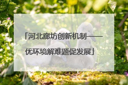 河北廊坊创新机制——优环境解难题促发展