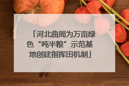 河北曲周为万亩绿色“吨半粮”示范基地创建指挥田机制