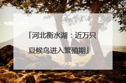 河北衡水湖：近万只夏候鸟进入繁殖期