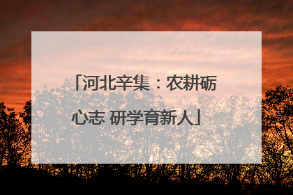 河北辛集：农耕砺心志 研学育新人