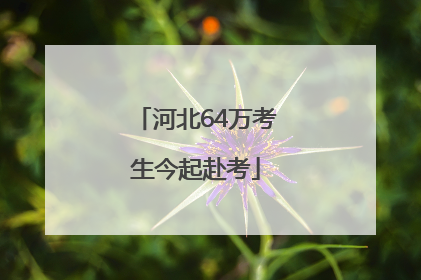 河北64万考生今起赴考