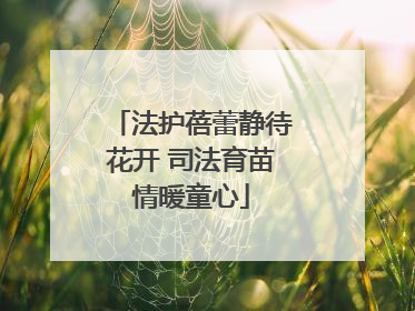 法护蓓蕾静待花开 司法育苗情暖童心