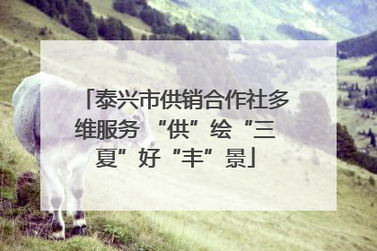 泰兴市供销合作社多维服务 “供”绘“三夏”好“丰”景