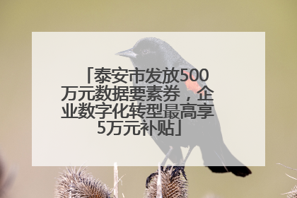 泰安市发放500万元数据要素券，企业数字化转型最高享5万元补贴
