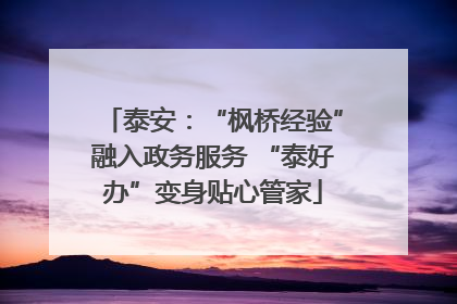 泰安：“枫桥经验”融入政务服务 “泰好办”变身贴心管家