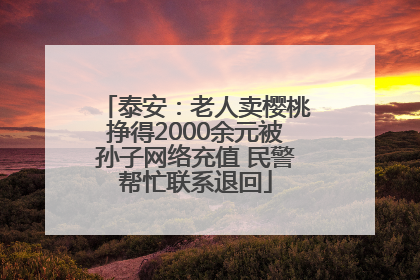 泰安：老人卖樱桃挣得2000余元被孙子网络充值 民警帮忙联系退回