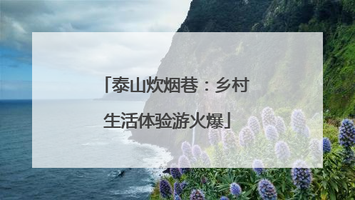 泰山炊烟巷：乡村生活体验游火爆