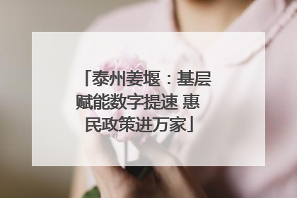 泰州姜堰：基层赋能数字提速 惠民政策进万家