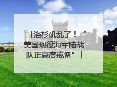 洛杉矶乱了！“美国现役海军陆战队正高度戒备”
