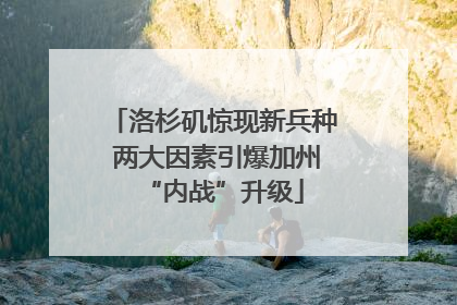 洛杉矶惊现新兵种 两大因素引爆加州“内战”升级