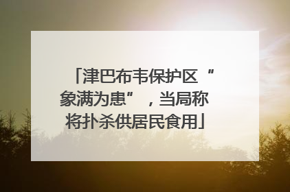 津巴布韦保护区“象满为患”，当局称将扑杀供居民食用
