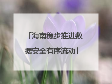 海南稳步推进数据安全有序流动