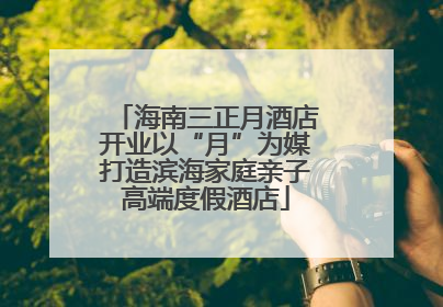 海南三正月酒店开业以“月”为媒打造滨海家庭亲子高端度假酒店