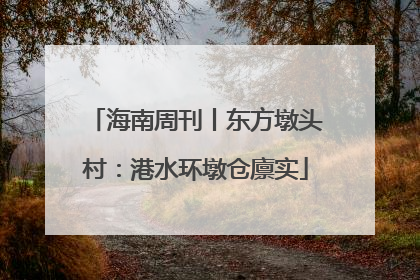 海南周刊丨东方墩头村：港水环墩仓廪实