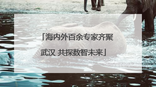 海内外百余专家齐聚武汉 共探数智未来