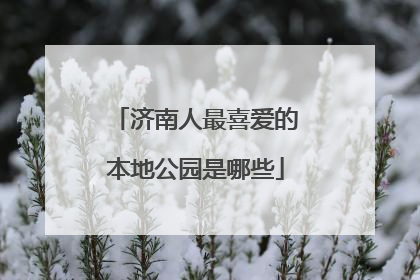 济南人最喜爱的本地公园是哪些